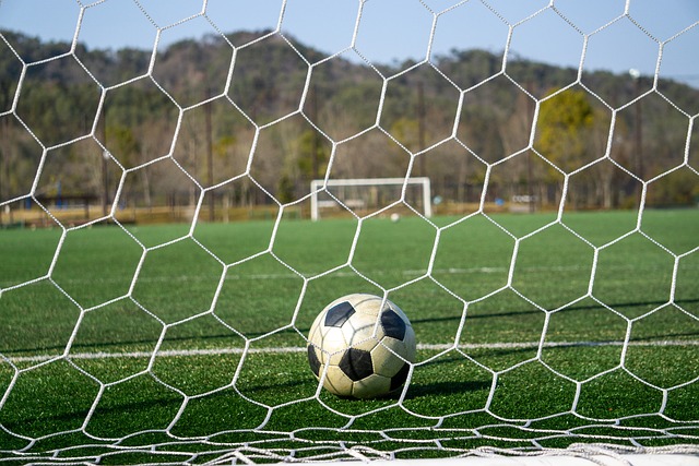 在亚太合作 在亚太合作