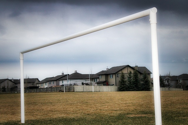 在球队中的 在球队中的