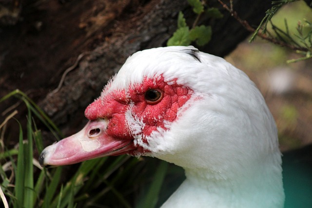 经验丰富的 经验丰富的