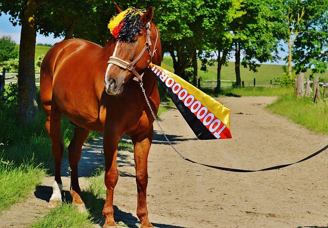 一位新的前 一位新的前