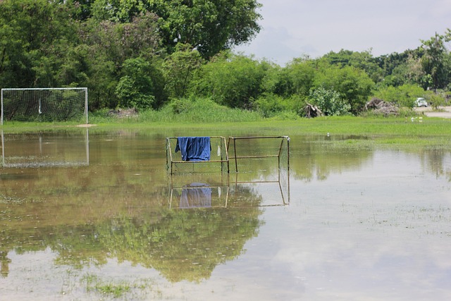 观赛看点之 观赛看点之
